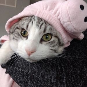 Meet your Posher, Amy